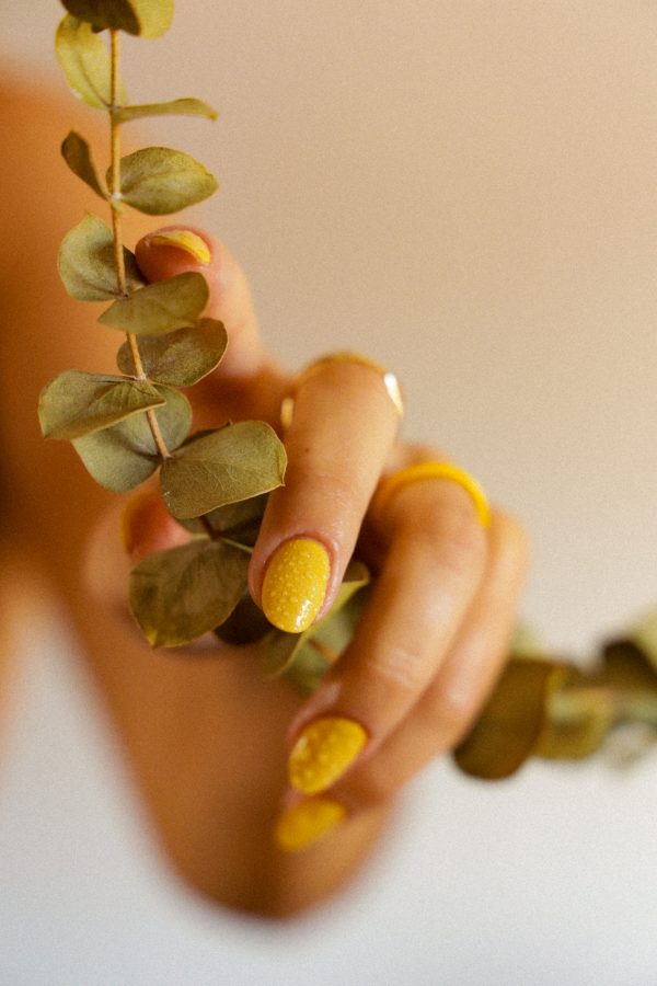 Nutrient-Rich Face Cream